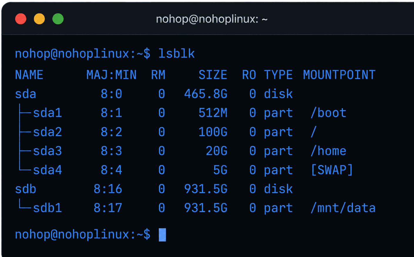 Linux lsblk terminal output